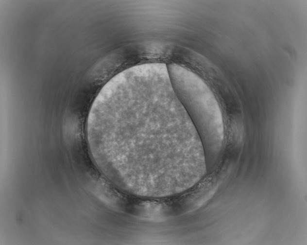 X0000110710272200907241151