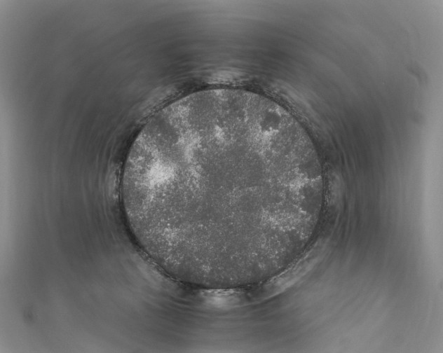 X0000110710273200907241151