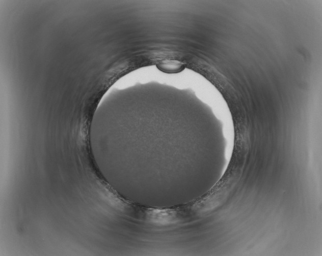 X0000110710277200907241152