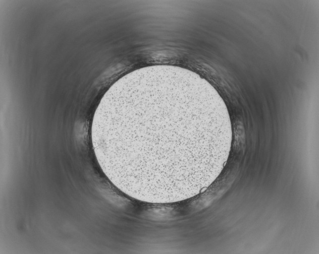 X0000110710278200907241152