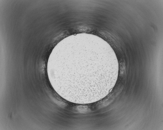 X0000110710279200907241152