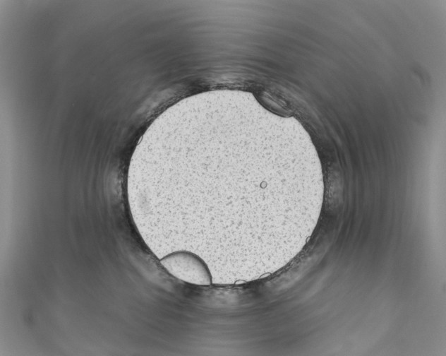 X0000110710282200907241152