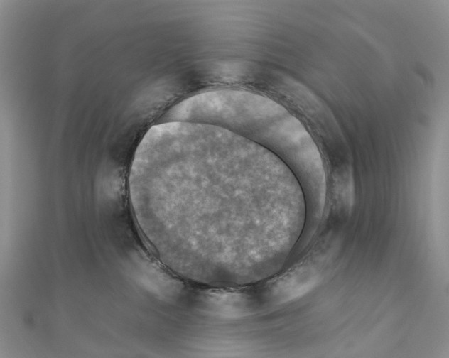 X0000110710284200907241152