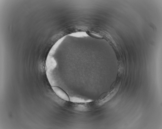 X0000110710285200907241152