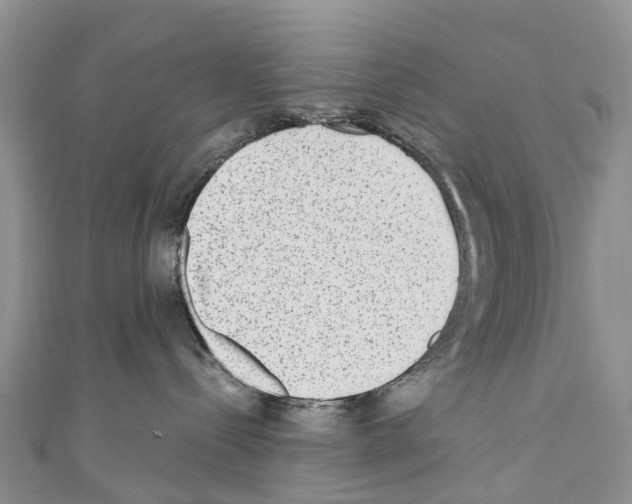 X0000110710288200907241152