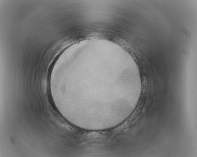 X0000110710290200907241151
