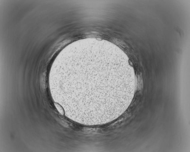 X0000110710291200907241151