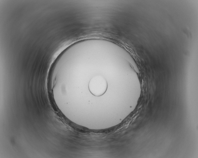 X0000110710292200907241151