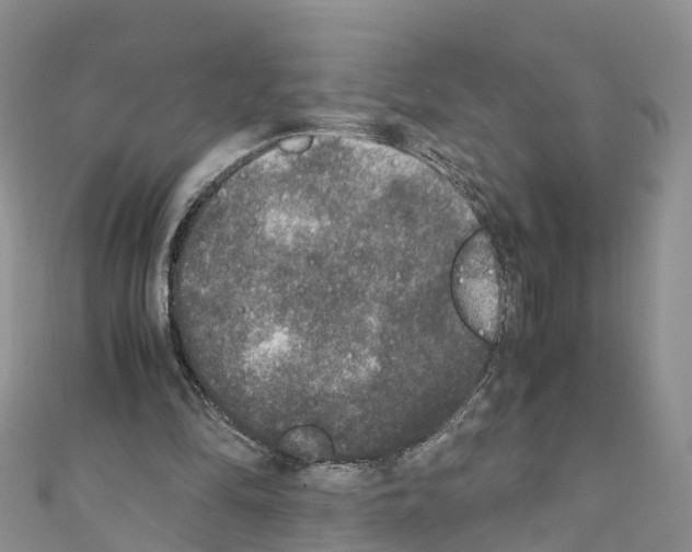 X0000110710294200907241151