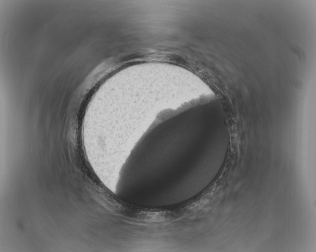 X0000110710295200907241151