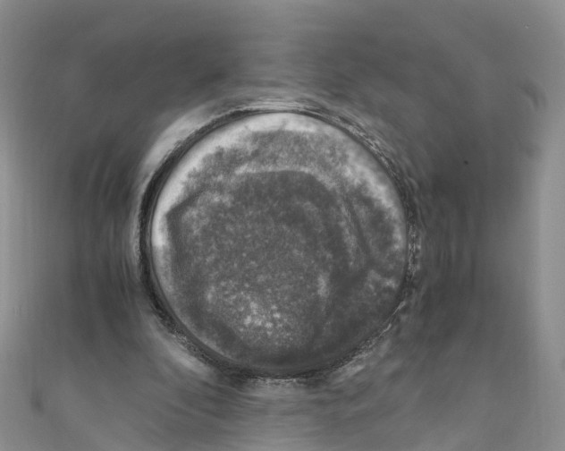 X0000110710296200907241151