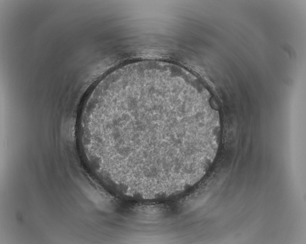 X0000110710299200907241151