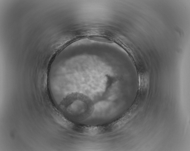 X0000110710301200907241151