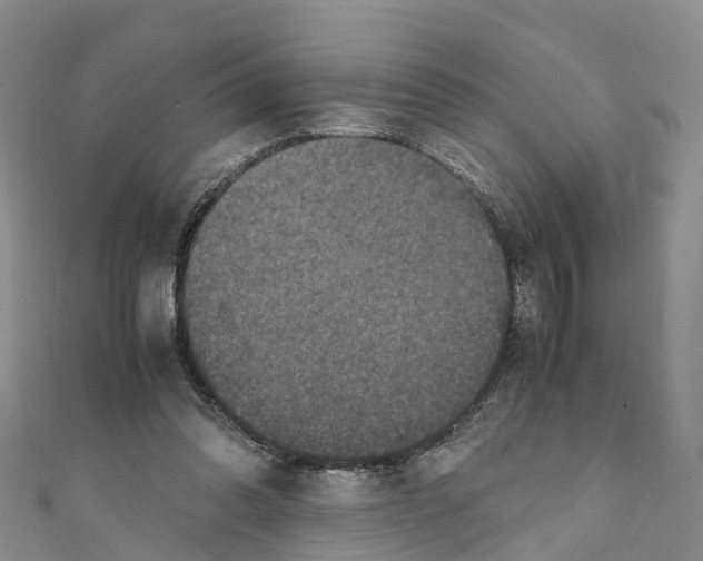 X0000110710302200907241151