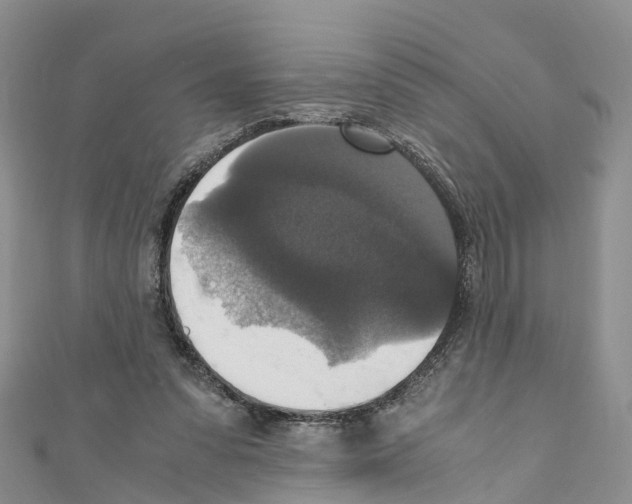 X0000110710303200907241151