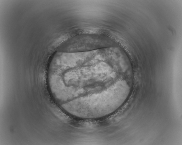 X0000110710305200907241151