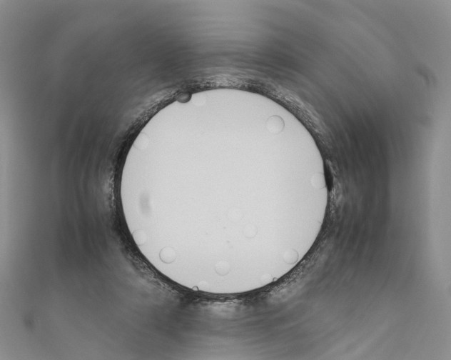 X0000110710306200907241151