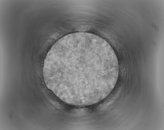 X0000110710307200907241151