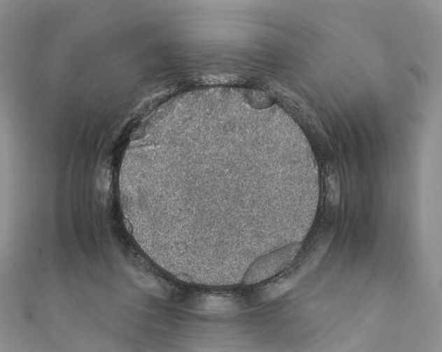 X0000110710308200907241151