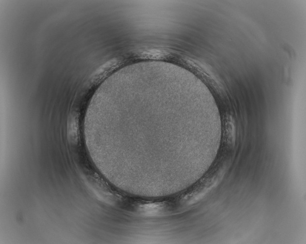 X0000110710312200907241151