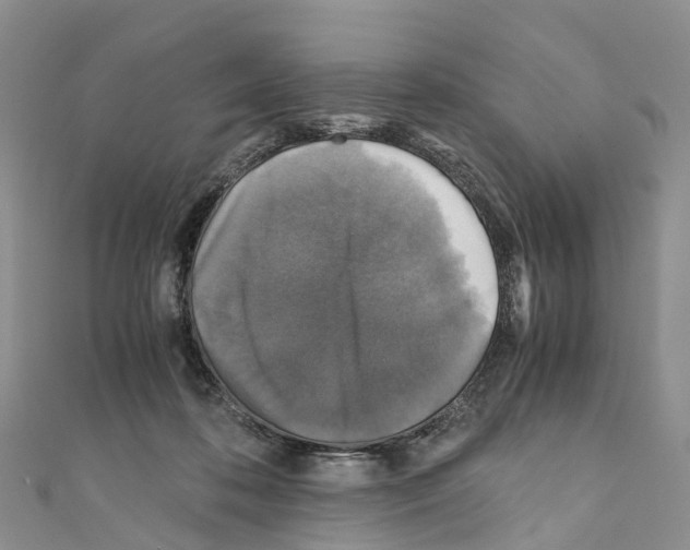 X0000110710316200907241151