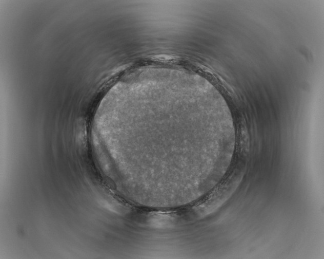 X0000110710320200907241151