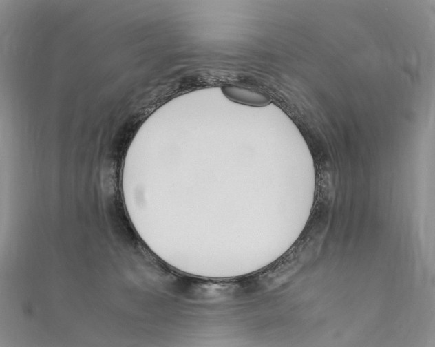 X0000110710323200907241151
