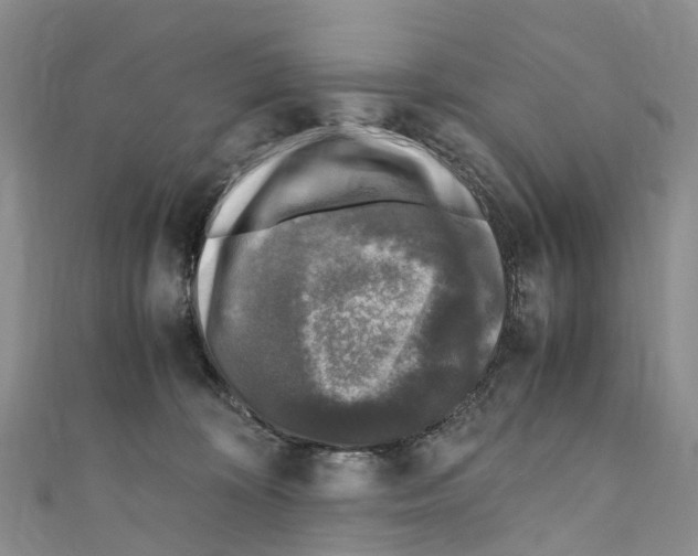 X0000110710324200907241151
