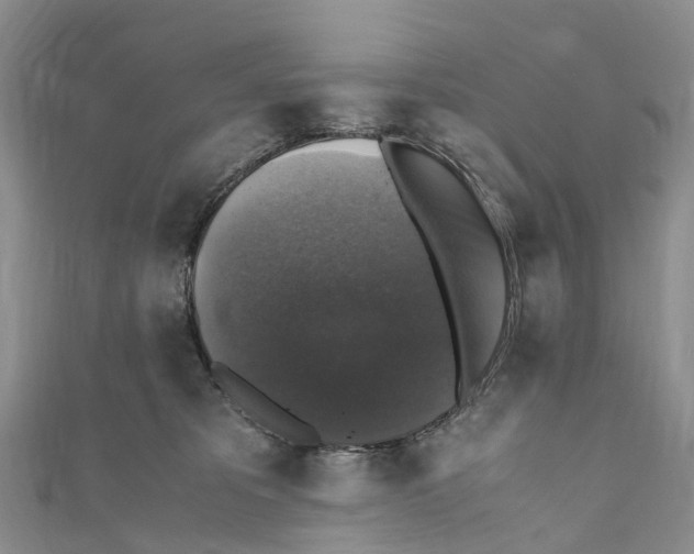 X0000110710325200907241151