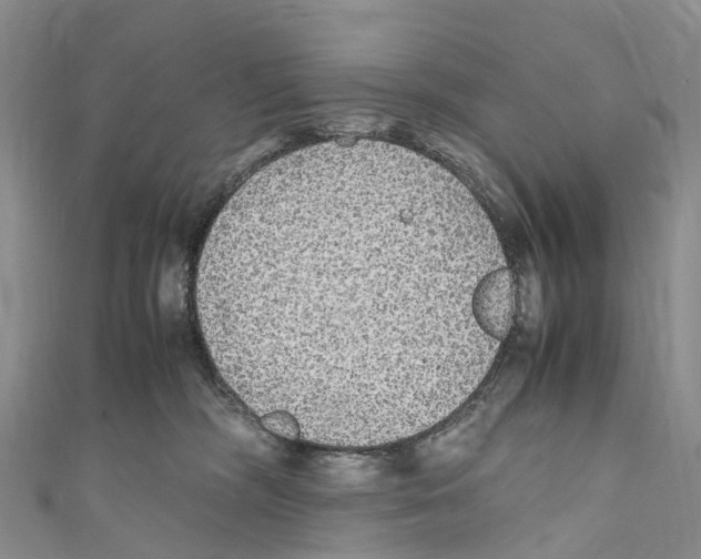 X0000110710326200907241151