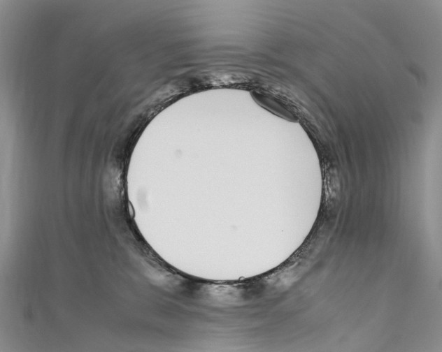 X0000110710327200907241151
