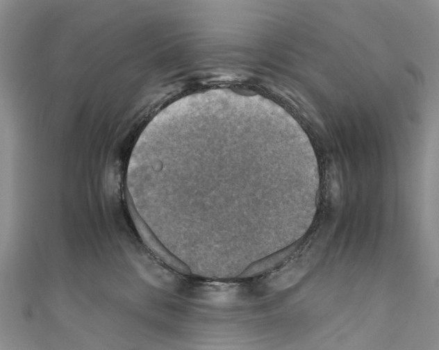 X0000110710328200907241151