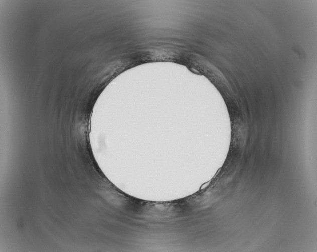 X0000110710329200907241151