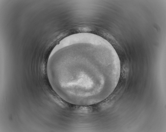 X0000110710330200907241151