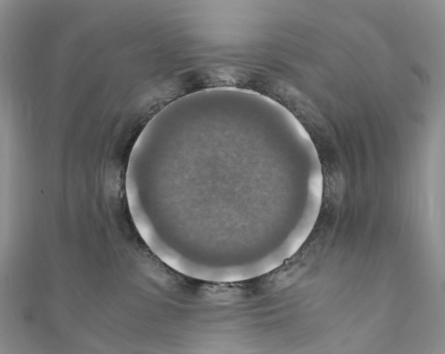 X0000110710331200907241150