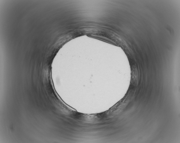 X0000110710333200907241150