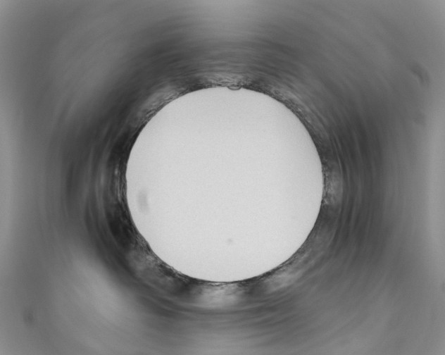 X0000110710334200907241150