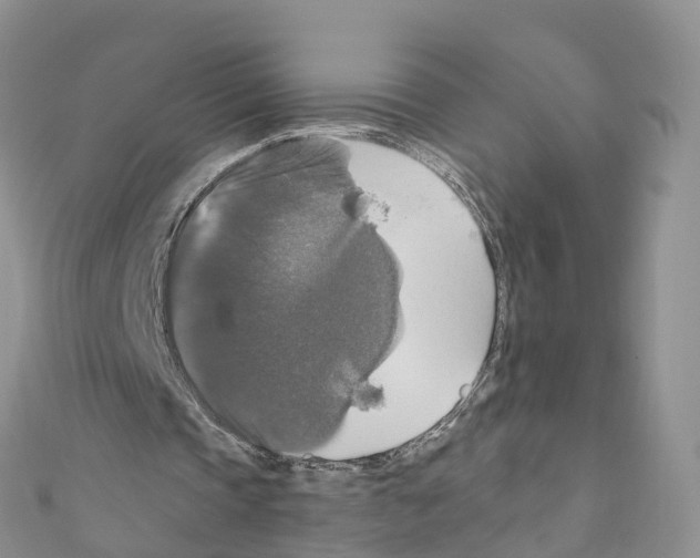 X0000110710337200907241150