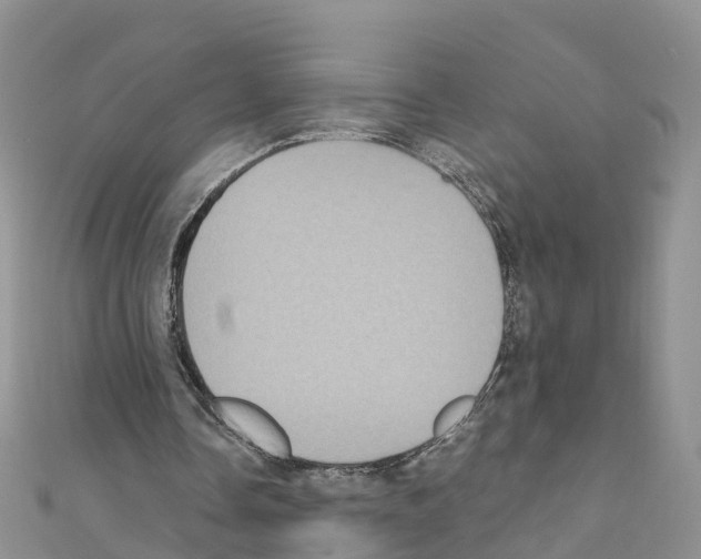 X0000110710338200907241150