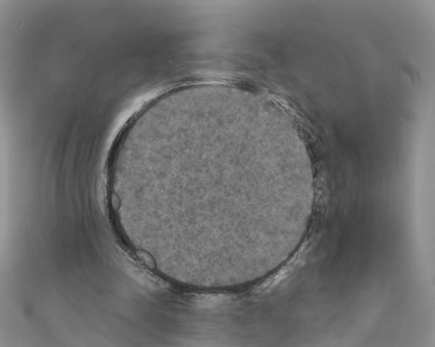 X0000110710342200907241150