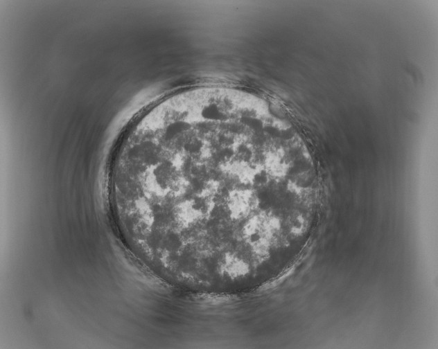 X0000110710343200907241150