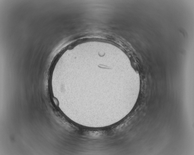 X0000110710344200907241150
