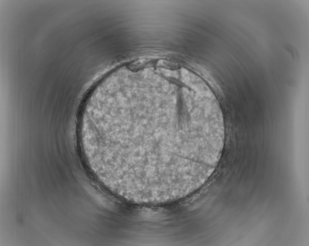 X0000110710346200907241150