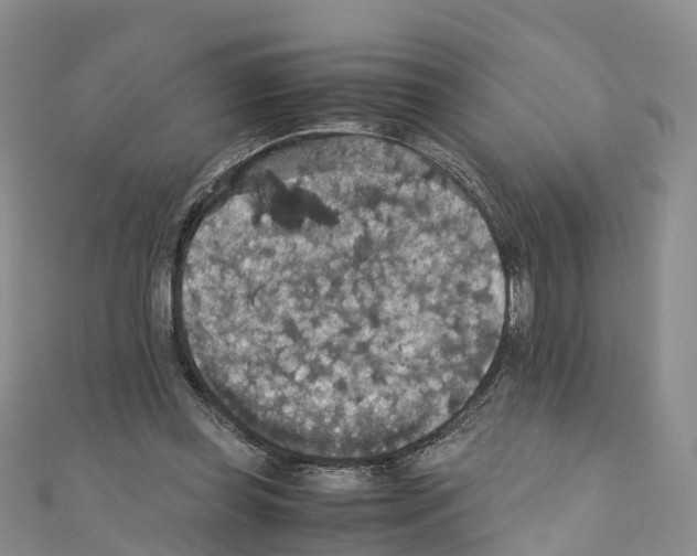 X0000110710349200907241150