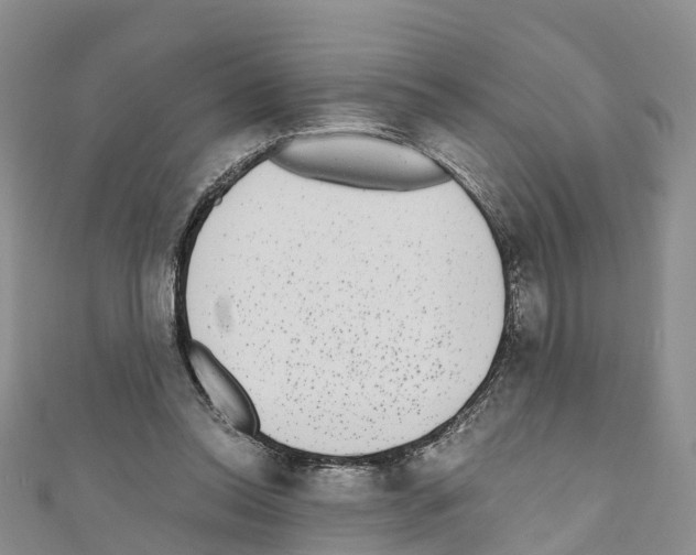X0000110710350200907241150