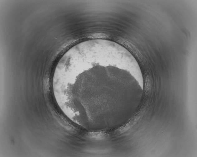 X0000110710351200907241150