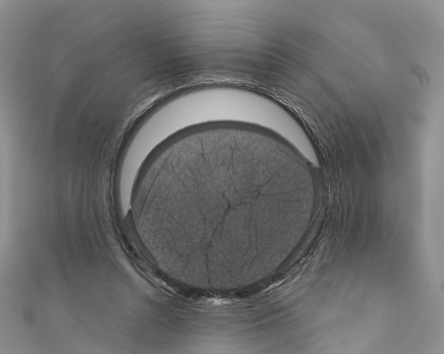 X0000110710352200907241150