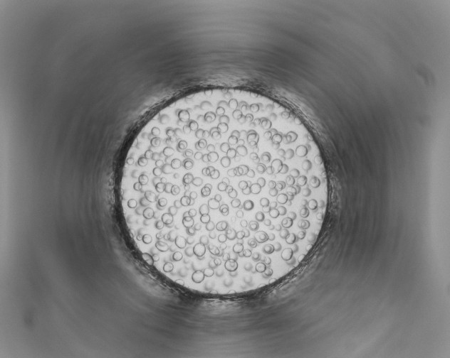 X0000110710354200907241150