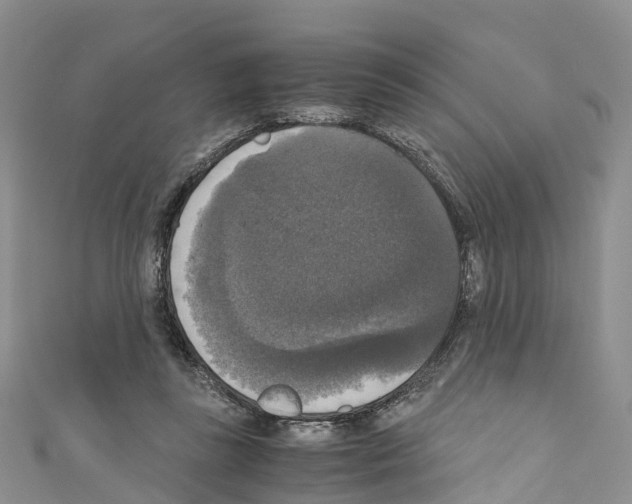 X0000110710355200907241150