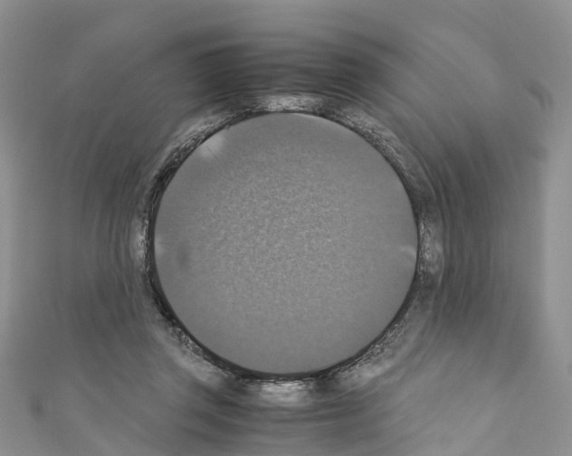 X0000110710357200907241150